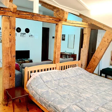 Loft דירה